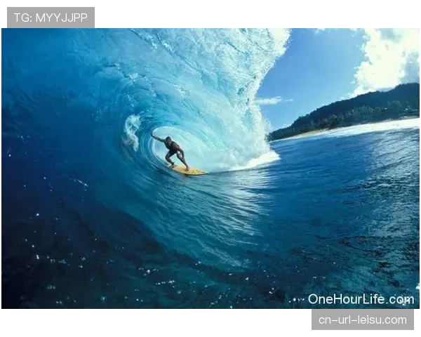 纪录片《无畏》上线，跟踪拍摄上赛季风暴队的重建历程